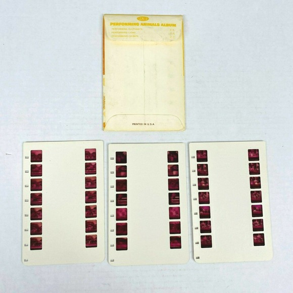 VTG Tru Vue Film 3 Cards Performing Animals ZA-1 - Picture 5 of 5